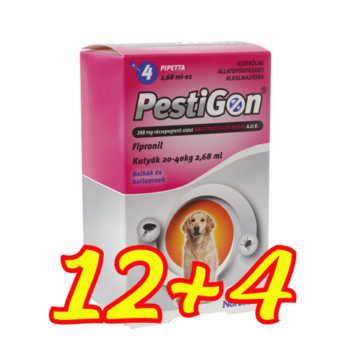 Pestigon L méret Nbk4 12+4db